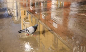 2025 год вошёл в тройку самых жарких, сообщил Вильфанд