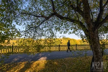 Фото: Лето в сентябре: в Кузбассе в конце недели потеплеет до +27 1