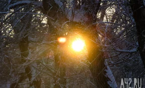 В Подмосковье спасли пенсионерку, пролежавшую 8 часов в снегу