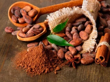 Фото: Учёные заявили о пользе какао для диабетиков и страдающих ожирением 1