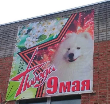 Фото: Власти Тисуля прокомментировали плакат с собакой ко Дню Победы 1
