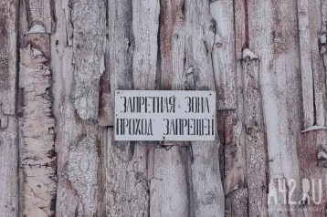 Фото: В Кузбассе ещё в одном селе ввели карантин по бешенству 1