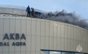 210 человек, в том числе 50 детей, эвакуировали из горящего аквапарка в Суздале