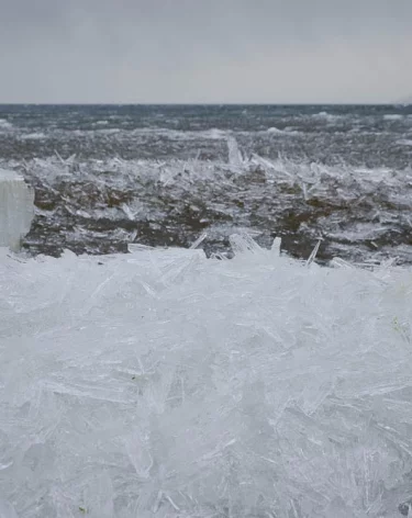 Океанолог предупредил о климатической катастрофе из-за «ледника Судного дня»
