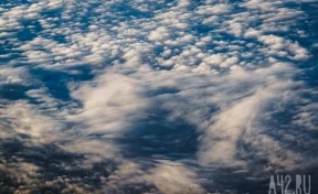Власти Ленобласти прокомментировали сообщение о неопознанном объекте в небе  