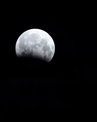 Силы ПВО за ночь уничтожили более 170 БПЛА над регионами РФ