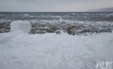 Океанолог предупредил о климатической катастрофе из-за «ледника Судного дня»