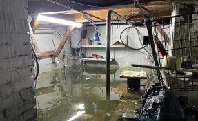 То ли подвал, то ли аквариум. Как беловчане живут в затопленных домах перед зимой