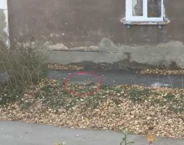 Фото: «Я увидела, что он захлёбывается»: мать упавшего в колодец ребёнка в Кемерове рассказала о ЧП 1