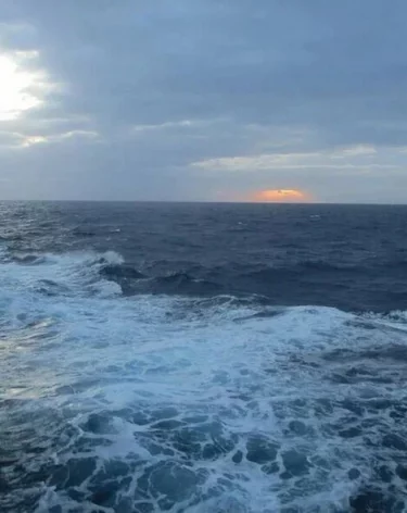 Названа цена билетов на паром из Сочи в Трабзон