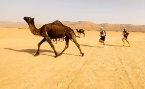 Горнорабочий из Кузбасса занял четвёртое место в гонке в пустыне Сахара