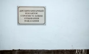 В Кузбассе заключённый избил сотрудника колонии после неудачного похода к стоматологу