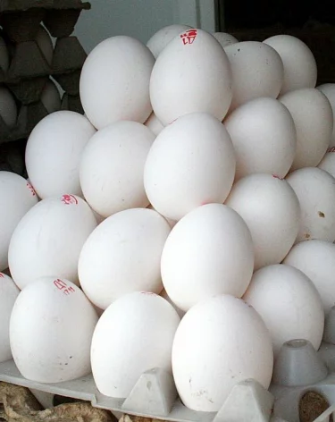 Нутрициолог назвала самые полезные способы приготовления яиц