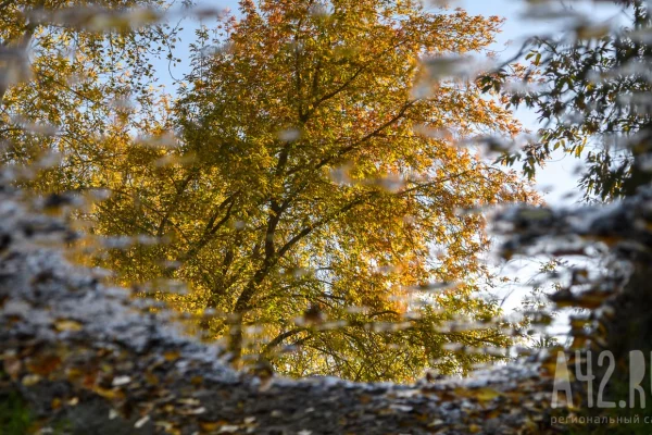 Ираида Спорная: приметы на 6 октября