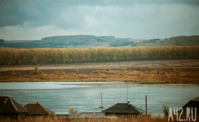 До +14 и без осадков: синоптики дали прогноз погоды на 30 октября в Кузбассе