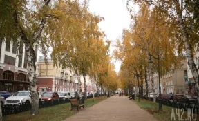 Синхронизация национальных проектов в Кузбассе на примере городской среды Кемерова