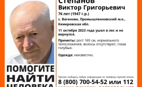 В Кузбассе 76-летний мужчина ушёл в лес и не вернулся