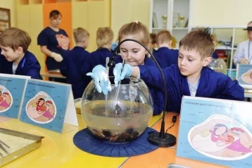 Фото: «Умное Кемерово» откроет детям тайны подводного мира 1