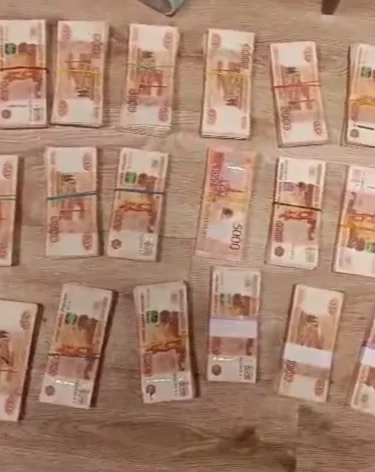 В Ленинградской области чиновников задержали за мошенничество с льготной землёй