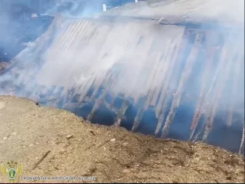 Фото: В Приамурье посёлок остался без дорожного сообщения из-за сгоревшего во время лесного пожара моста 1