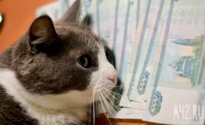 В Кузбассе бабушка с внуком поверили в «посылку с маркетплейса» и потеряли 2,7 млн рублей