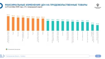 Инфографика: Кемеровостат