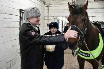 Фото: Начальник кузбасской полиции проверил готовность кинологов и кавалеристов к охране правопорядка в Кемерове 1