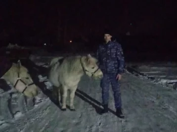 Фото: В Кузбассе росгвардейцы помогли найти сбежавших Лунтика и Машу 1