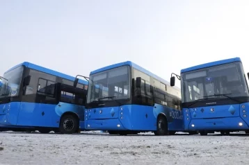 Фото: В Кузбасс поступили 30 новых автобусов 1