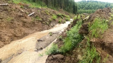 Фото: На юге Кузбасса золотодобытчики загрязняли ручей Картагол 2