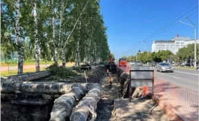 Стало известно, зачем срубили берёзы на Октябрьском проспекте в Кемерове