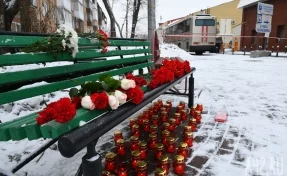 Адвокат надеется, что потерпевшим после пожара в Кемерове не понадобится их помощь