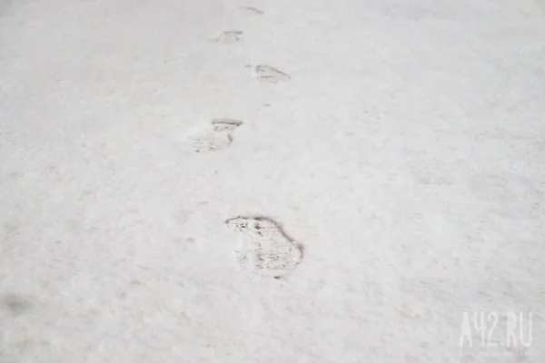 Пропавшего в Саратовской области школьника нашли мёртвым в поле