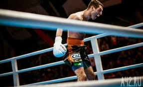 Боксёр Михаил Алоян проведёт следующий бой в Кемерове в декабре