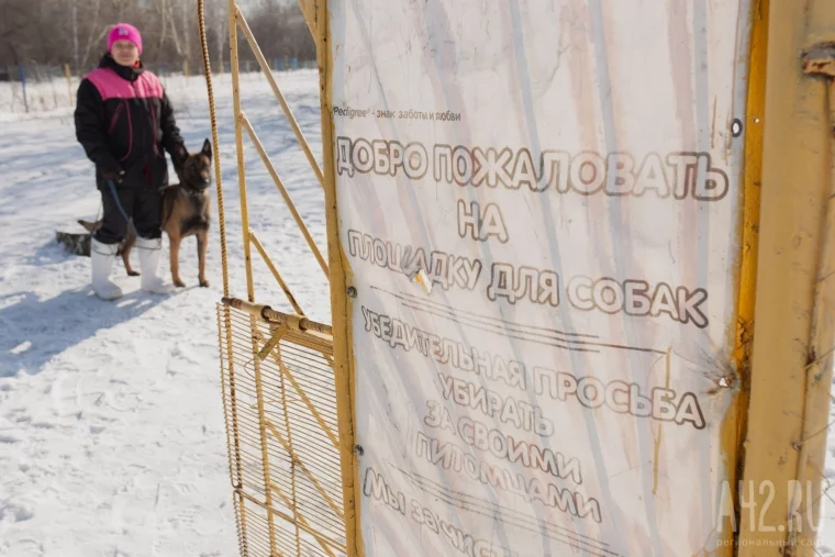 Фото: Развалины и грязь. Как мы обходили площадки для выгула собак в Кемерове и Новокузнецке 17