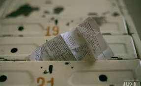 В Госдуме рассказали, до какой даты можно оплатить услуги ЖКХ за декабрь