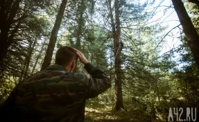 Спасатели напомнили кузбассовцам о правилах безопасного поведения в лесу