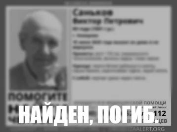 Фото: Пропавший на пути к «Кристаллу» пенсионер погиб в Кемерове 1