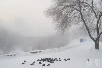 Фото: Ветрено и морозно: в Кузбассе похолодает до -35 градусов 1