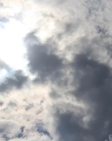 Силы ПВО за ночь сбили более 100 БПЛА над регионами РФ