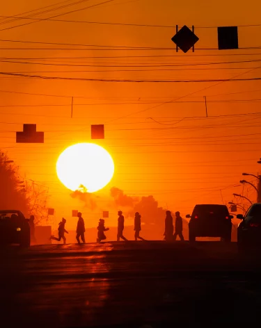 Фото: A42.RU