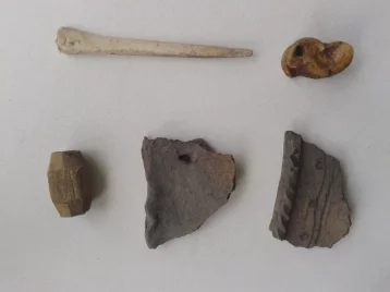 Фото: Кемеровские школьники нашли останки ритуальных животных и украшения из костей 1