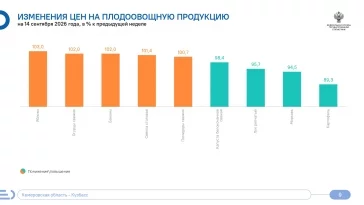Фото: Творог, маргарин и яблоки: какие продукты подорожали за неделю в Кузбассе 1