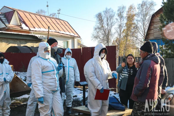 В управлении ветеринарии уточнили количество изъятых в Кемерове свиней, но скрыли название болезни