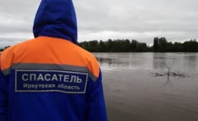 Путин резко раскритиковал работу иркутского губернатора после наводнения