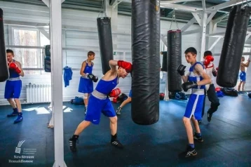 Фото: Первенство России по боксу пройдёт в Тюмени 1