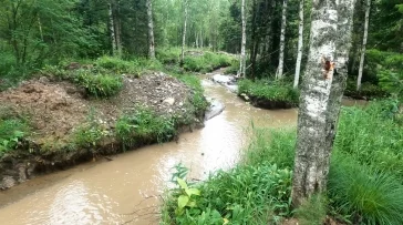 Фото: На юге Кузбасса золотодобытчики загрязняли ручей Картагол 3