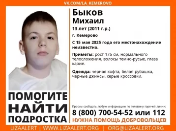 Фото: В Кузбассе пропали двое мальчиков 9 и 13 лет 2