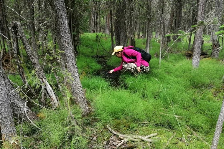 Фото: Алексей Коршунов