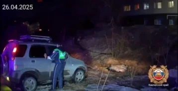Фото: Видео перестрелки и задержания автоугонщика на Камчатке опубликовали в Сети 1